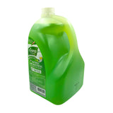 Wonderhome Cusina Natural Anti-Bacterial Dishwashing Liquid - Kalamansi Lemongrass (1 Gallon ) - Organics.ph