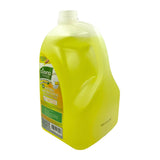 Wonderhome Cusina Natural Anti-Bacterial Dishwashing Liquid - Lemon Mint (1 Gallon ) - Organics.ph