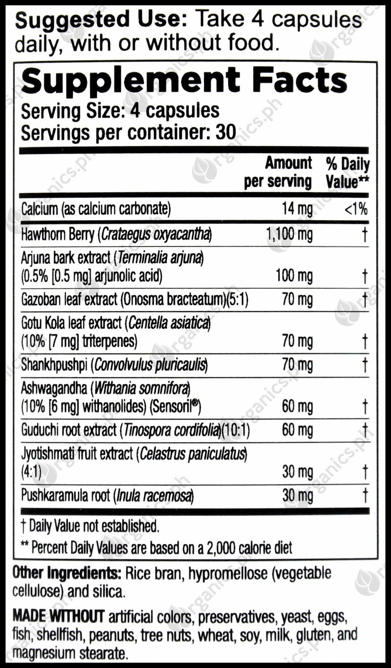 Life Seasons B/P Stabili-T Blood Pressure Support (120 caps, 30 servings) - Organics.ph