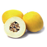 Melon Golden Honeydew (1 kilogram per piece) - Organics.ph