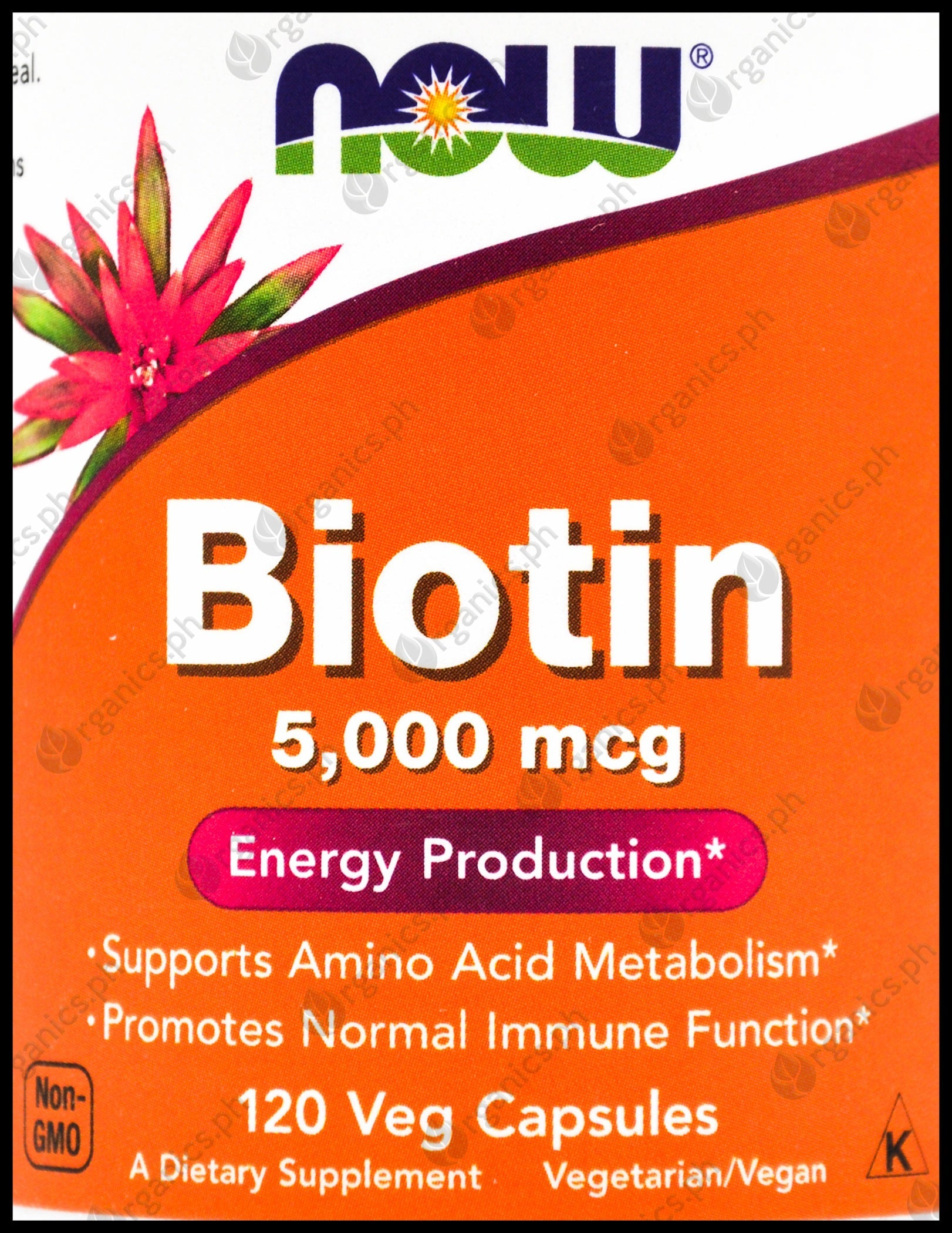 Now Biotin 5000 mcg (120 caps)